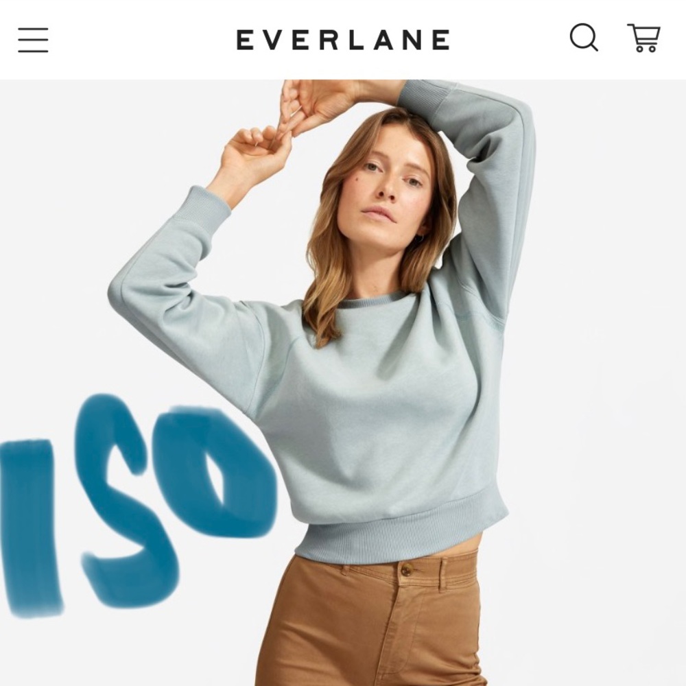 ISO Everlane ReNew Sweatshirt/Hoodie in Pale Sage